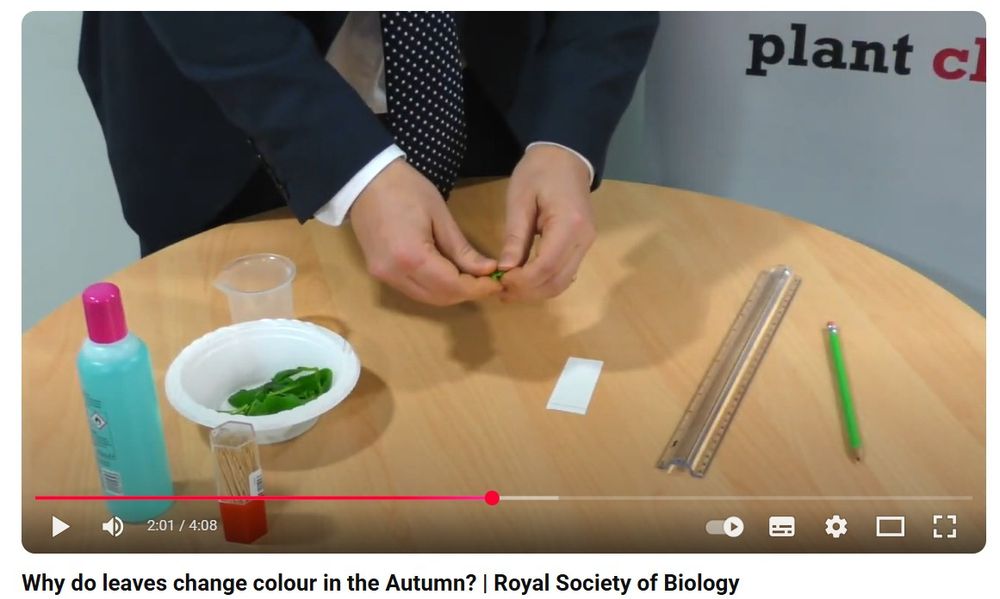 A screenshot of the 'Why do leaves change colour in the autumn?' RSB resource.