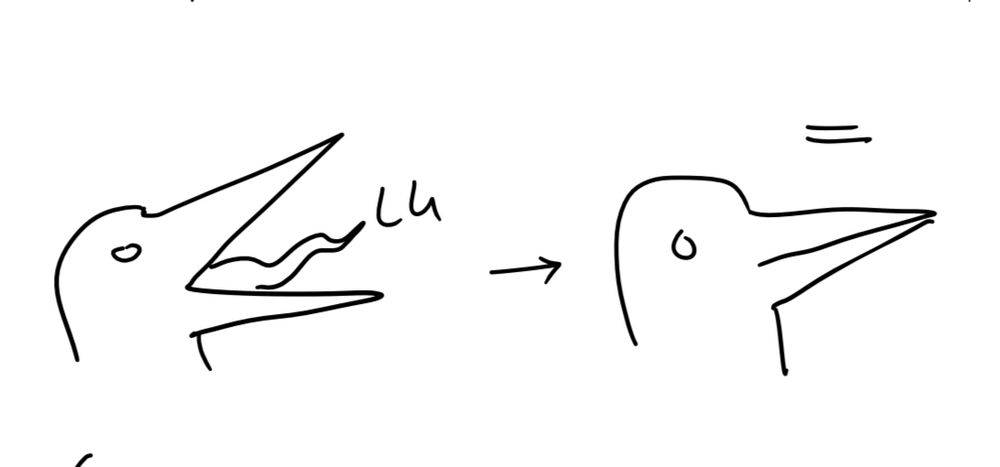 Reminder of how carbon/carbon double bonds form on a tertiary carbon, with a bird head. The bird’s tongue is the leaving group, and the bird closing its beak is similar to when it leaves in a reaction and a double bond forms.