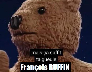 Nounours regardant à gauche, en gros plan, avec une bannière texte blanc sur fond noir, dit :
"mais ça suffit
ta gueule
François RUFFIN "