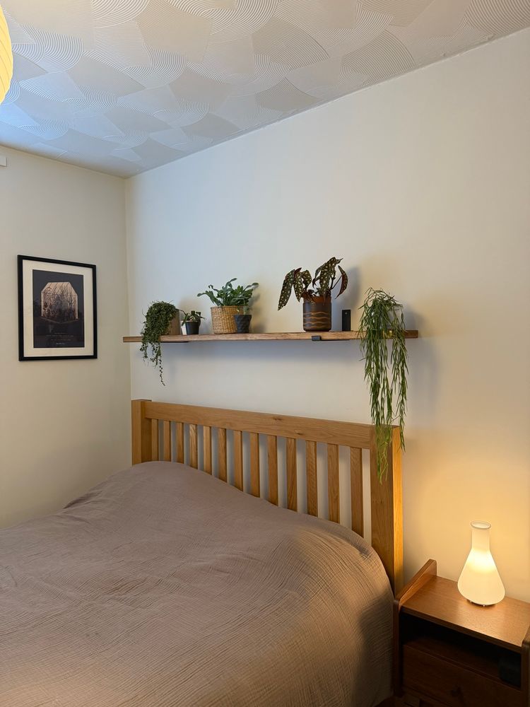 A bed, with a shelf over the headboard, with various houseplants. Next to the bed is a midcentury style bedside cabinet with a white lamp glowing on it. 