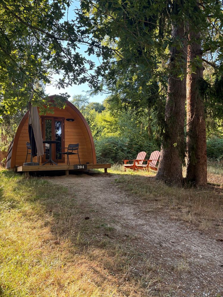 A small cabin pod in the middle of a forest where I stayed. Part of Buitenplaats Beekhuizen.
