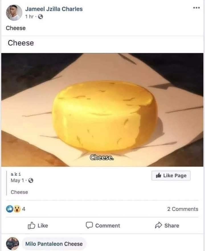 A photo of cheese with multiple captions saying "cheese"