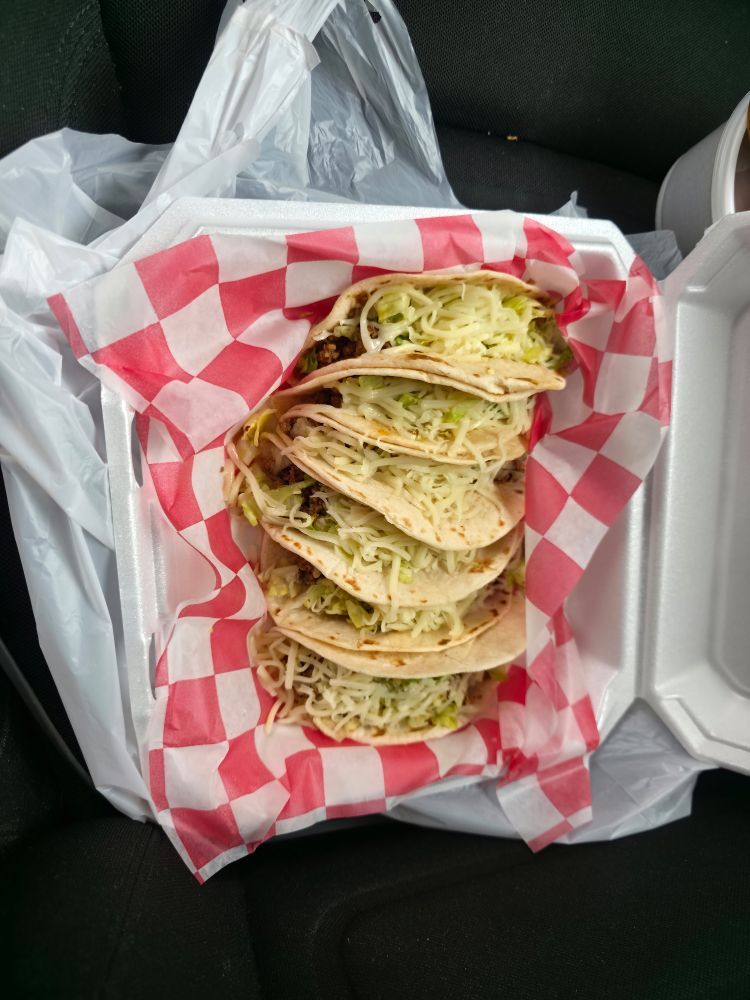 A picture of 6 beef tacos.