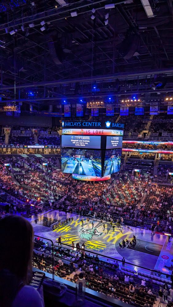 jumbotron at Barclays Center reading "Elizabeth and Andrew / will you marry me? / love, blaize"