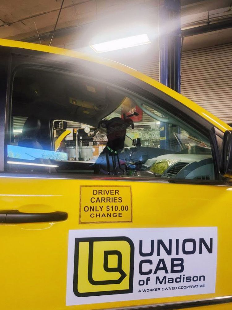 A photo of a small black dog sitting in the front passenger seat of a yellow taxi van 