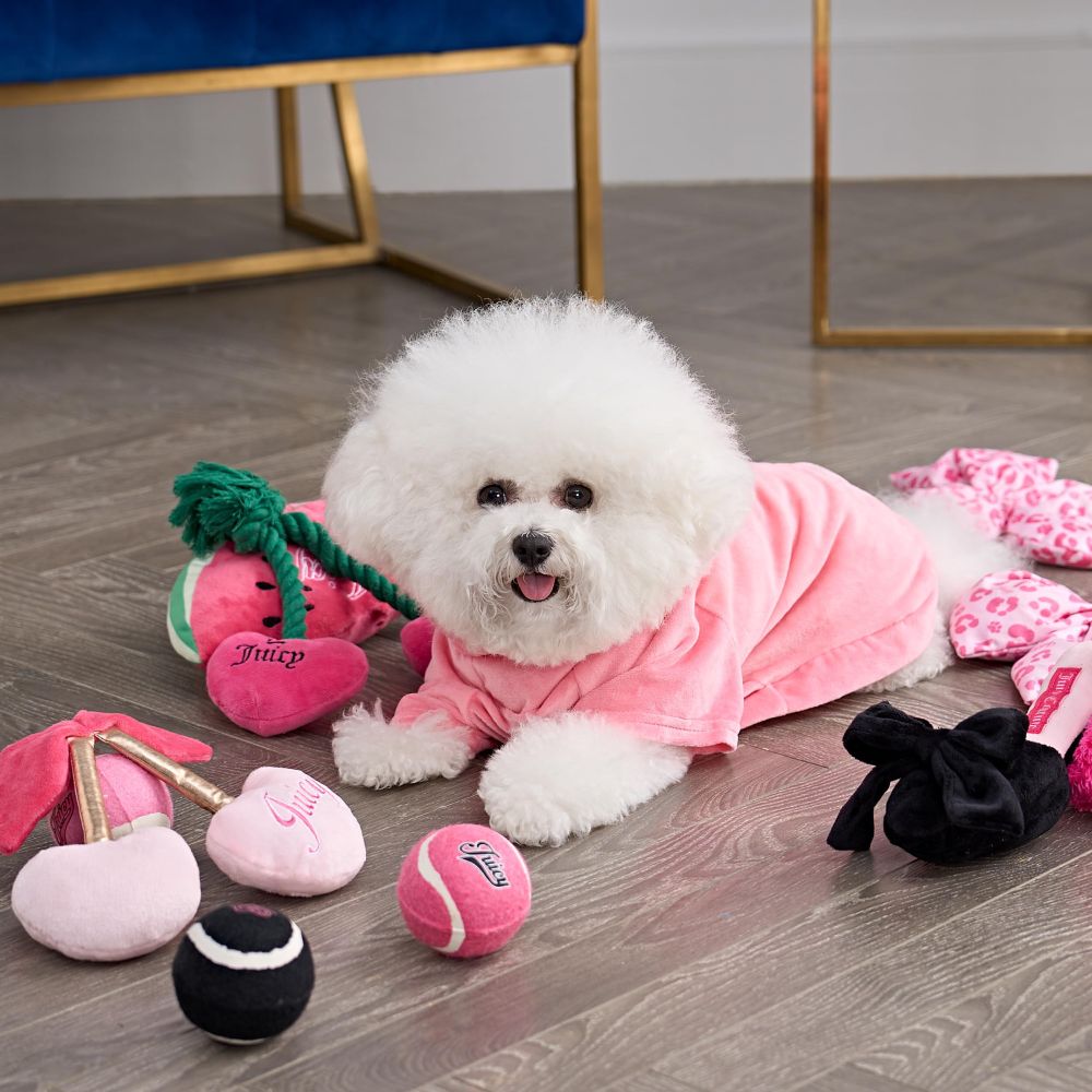 A tiny fluffy dog in a pink fuzzy shirt surrounded by adorable pink juicy couture branded toys