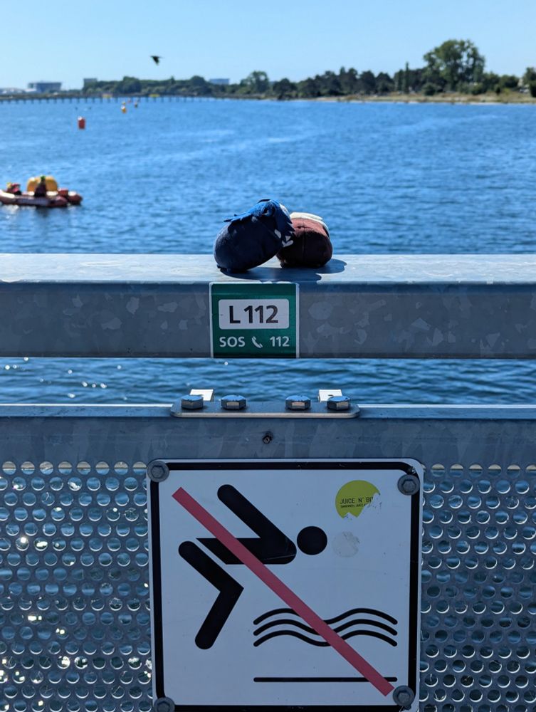 Sherliam noru on top of a bridge railing, below them is a sign that says not to jump in the water here; Sherlock noru appears to hold Liam nori (and stop him from jumping)