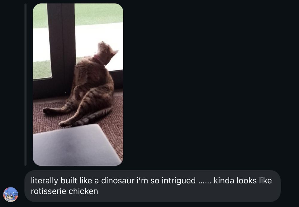 A screenshot of a text message that says, “literally built like a dinosaur I’m so intrigued……. kinda looks like rotisserie chicken”.

The image that that message is in response to is an image of a tabby cat sitting upright like a human, but craning her neck back at a very odd angle to look up. Like a dinosaur. 