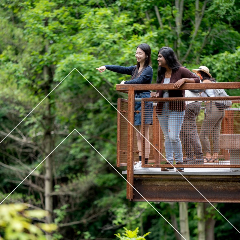 Students at the UTSC Campus Valley Land Trail