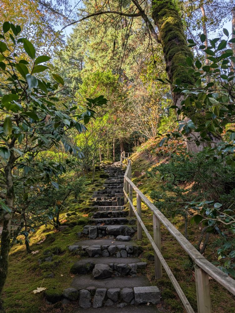 shot of walkway with morning sun coming in from the left 