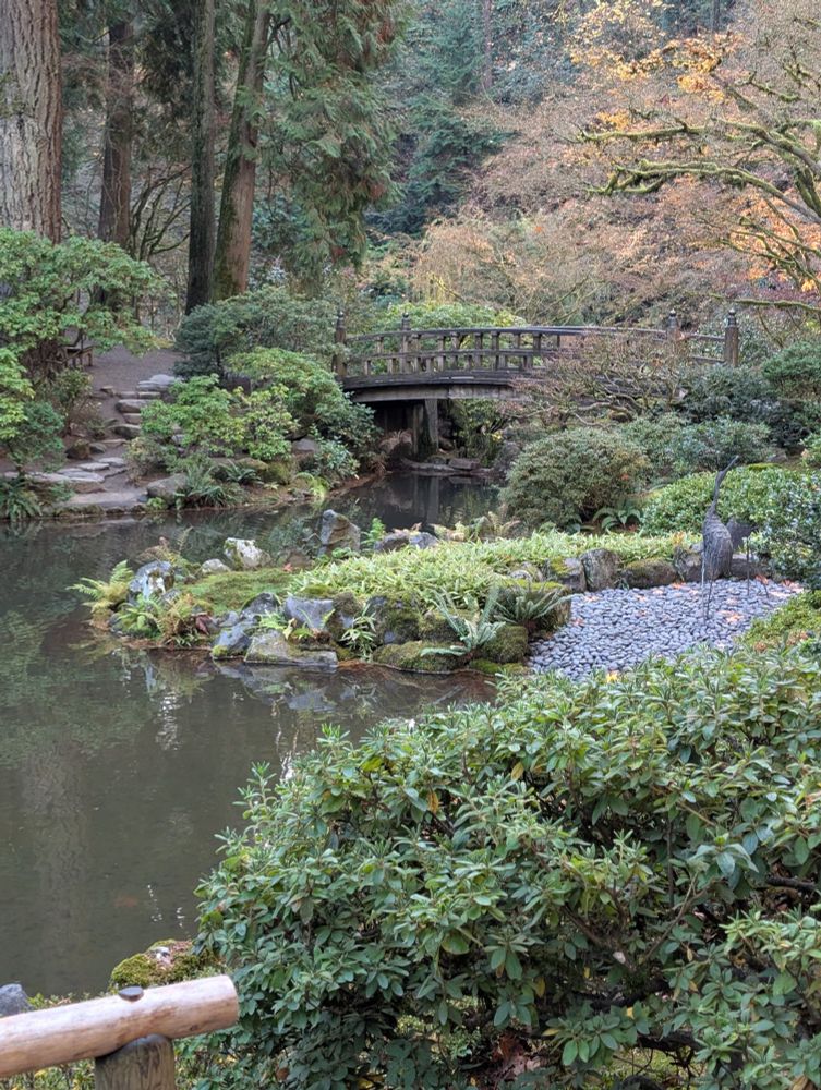 a bridge over a pond with tons of landscaping in late autumn