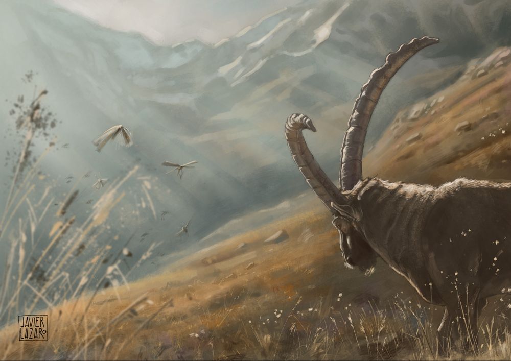 Illustration of an alpine ibex in a mountain landscape