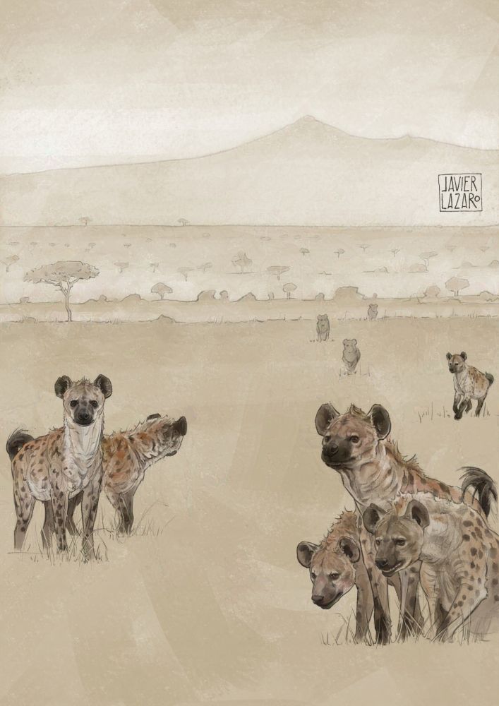 Illustration of hyenas