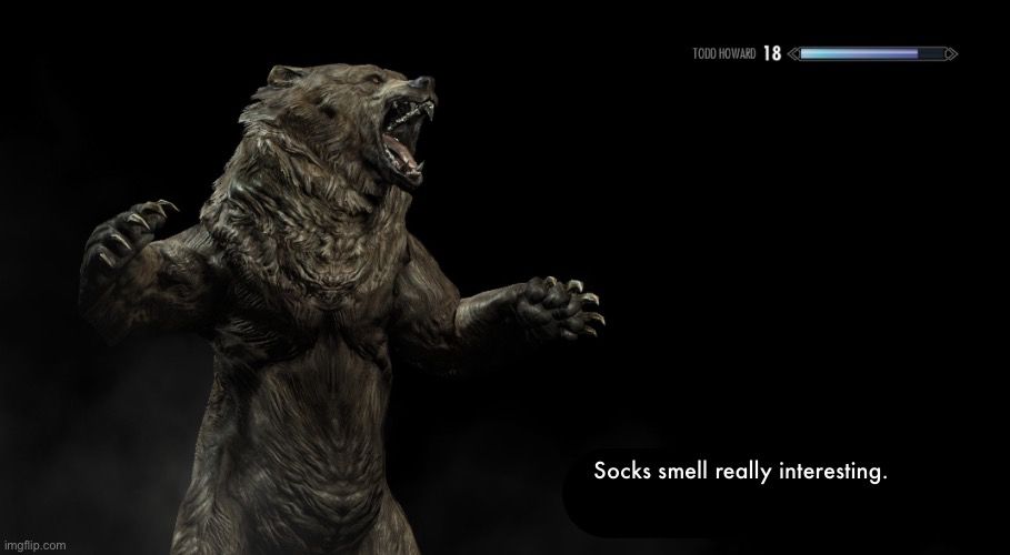 An edited skyrim loading screen of a bear with the tip “Socks smell really interesting”