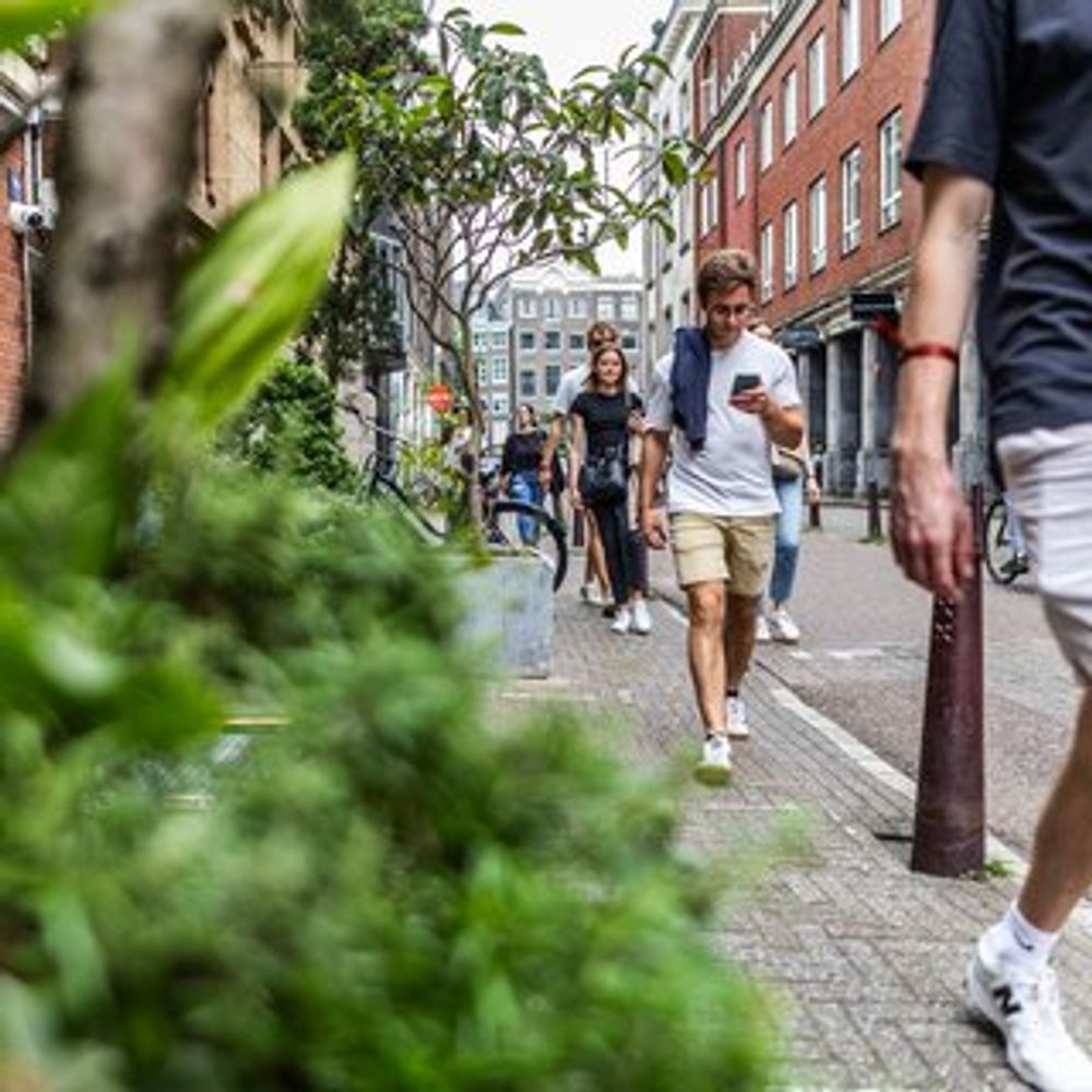 Eigenaren van plantenbakken op de stoep: ‘Het staat toch helemaal niemand in de weg?’