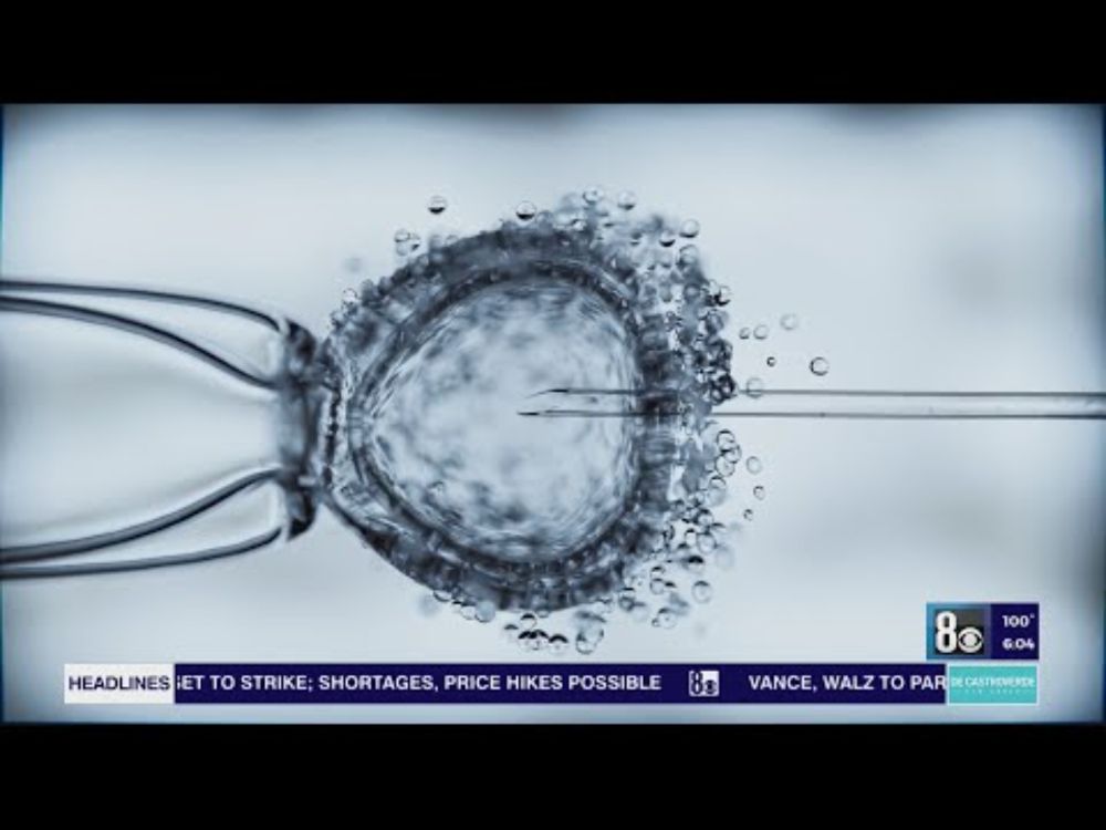 DNA test leads Las Vegas family to sue fertility clinic over wrong embryo