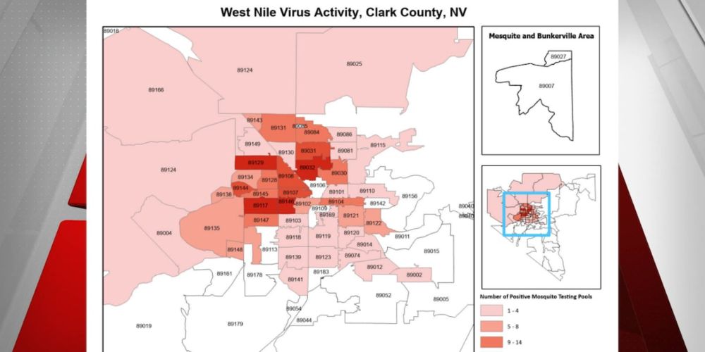 Clark County West Nile cases in 2024 close to worst year on record