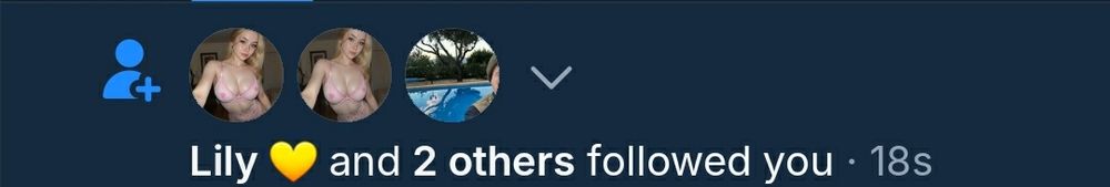 A partial screenshot of my notifications showing that I too have started receiving follows from multiple accounts all using the name "lily" and the same picture of a large-breasted, scantily-clad woman.