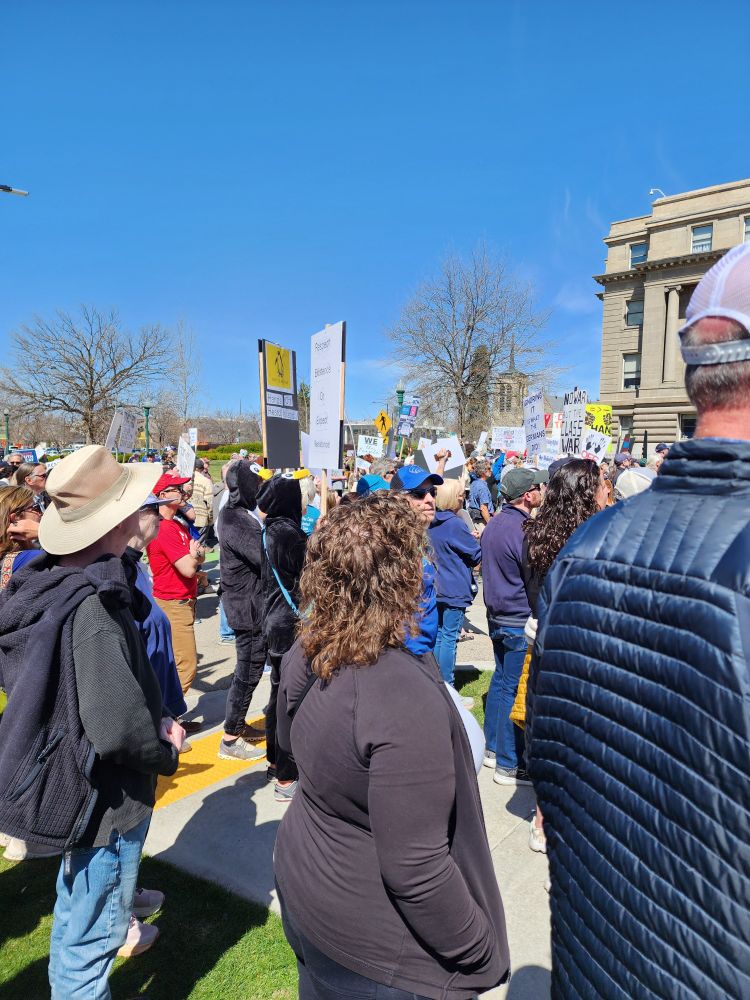 people dressed as penguins