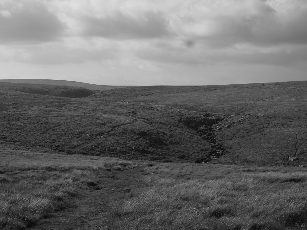 The upper valley of the East Dart - wide open and empty Dartmoor landscape. Multiple faint paths lead off over the moor. Waterfalls just visible to the right.