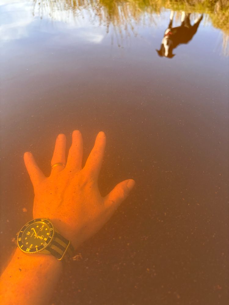 My hand underwater in the peat rich water. Reflection of the dog watching from the bank.