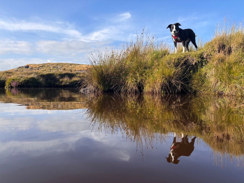 Lucas watching from the bank - his reflection in the still water below.
