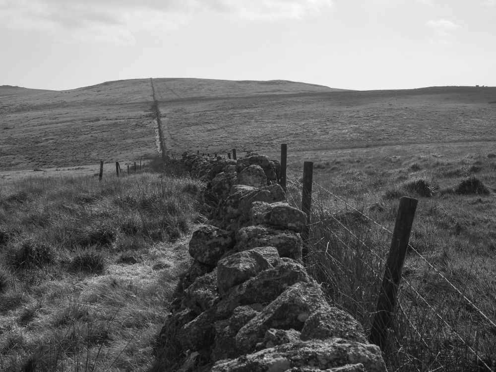 An old drystone wall winding into the distance along a Dartmoor ridge towards a distant tor.