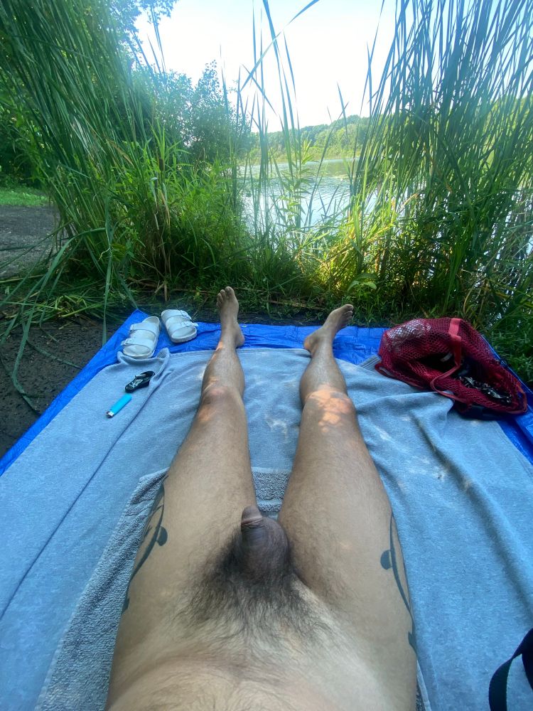 Waist down shot. Laying on a blanket on my back. Bush, soft cock, and legs are seen. Reeds in the background provings some privacy.