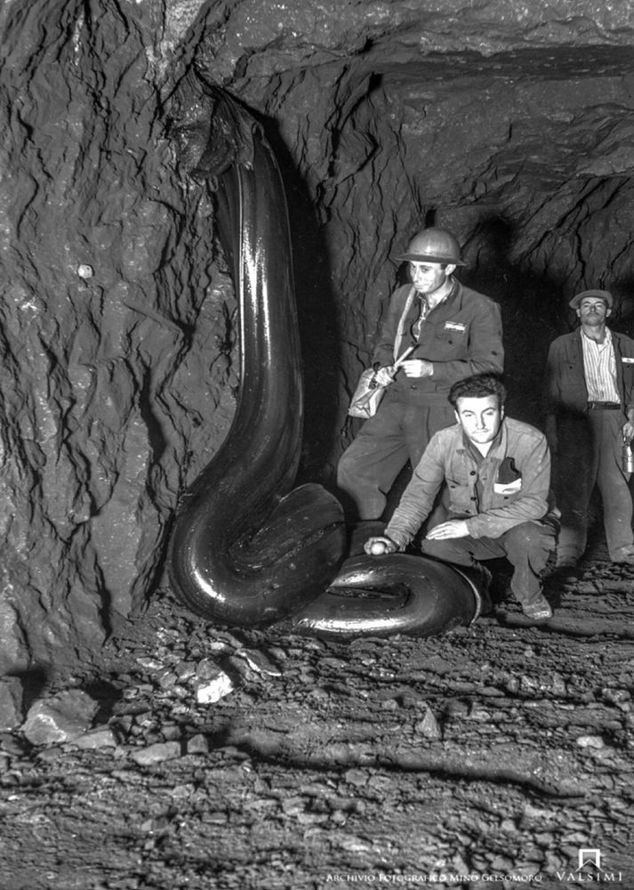 Thick black rope of bitumen that has poured out of the roof of a mine shaft, snaking in big loops on the ground. Three miners are next to the seep, showing that it is taller than a person and wider than a leg. 

It’s not really relevant, but one of the miners is holding onto a chicken egg that they have put on the bitumen flow, because, well, why not??