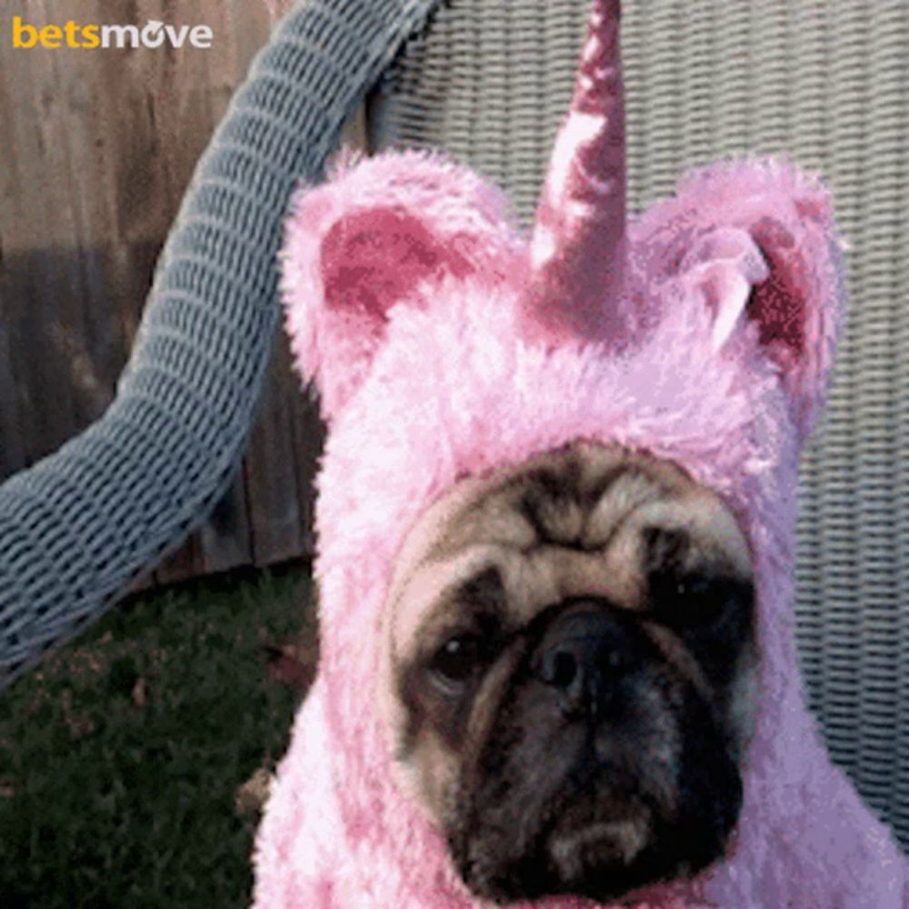 a pug wearing a pink unicorn costume with a betsmove logo in the background