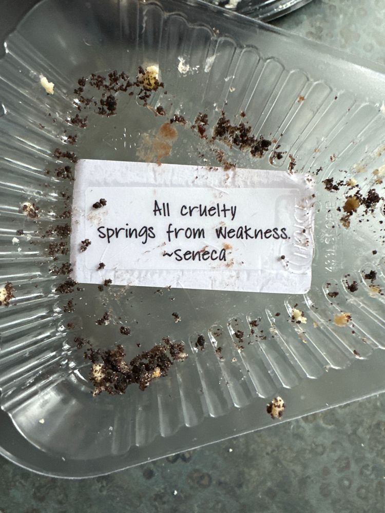 All cruelty springs from weakness. -Seneca 