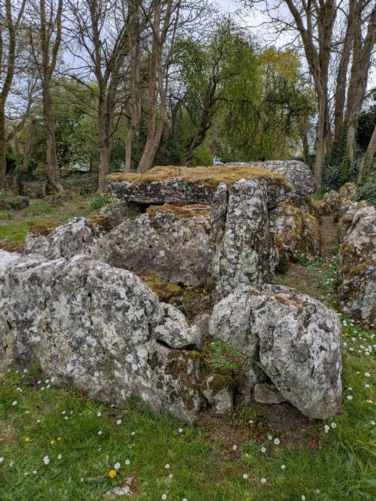 Lough Gur wedge tomb: lichen covered rocks sunk firmly into grass dotted with daisies and dandelions 