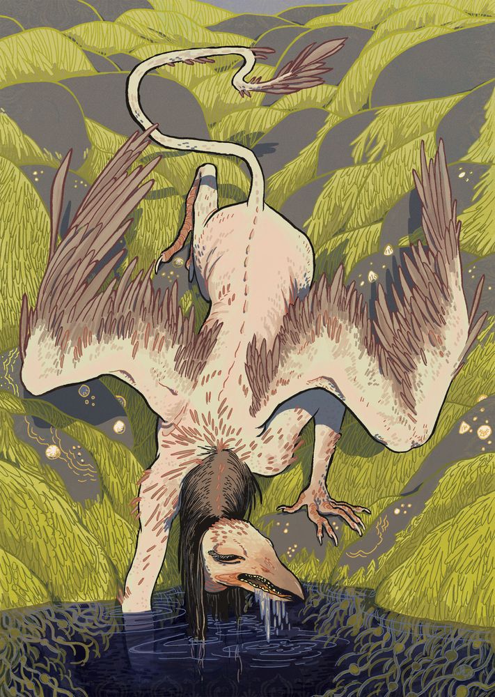 illustration of an erinye, a monster with four clawed limbs, long wings an tail, and the head of a vulture on a long neck. it has long straggly hair growing on its neck, though its head is bald, and small teeth growing in it beak. its skin is pale and spotted with straggly feathers. its visible hand shows an abnormality with one finger branging into two nails. it is crawling down over sewaweed-covered rocks to drink salt water.