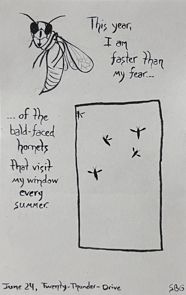 A pencil and brushpen drawing of a bald-faced hornet (up close with detail, upper left corner) and silhouettes of 5 bald-faced hornets flitting within a window frame (lower right corner), with the text: “This year I am faster than my fear of the bald-faced hornets that visit my window every summer.” Dated “June 24, Twenty-Thunder-Drive”, a call-out to the podcast MBMBaM’s theme for 2025: Faster than Fear.