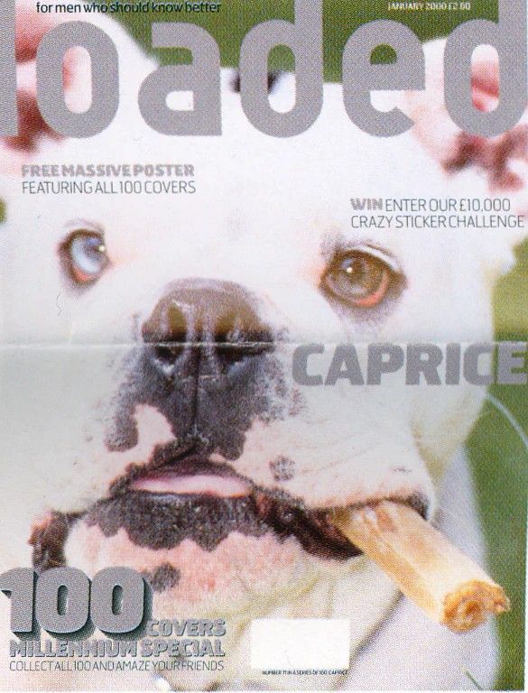 A dog on the cover of loaded magazine.