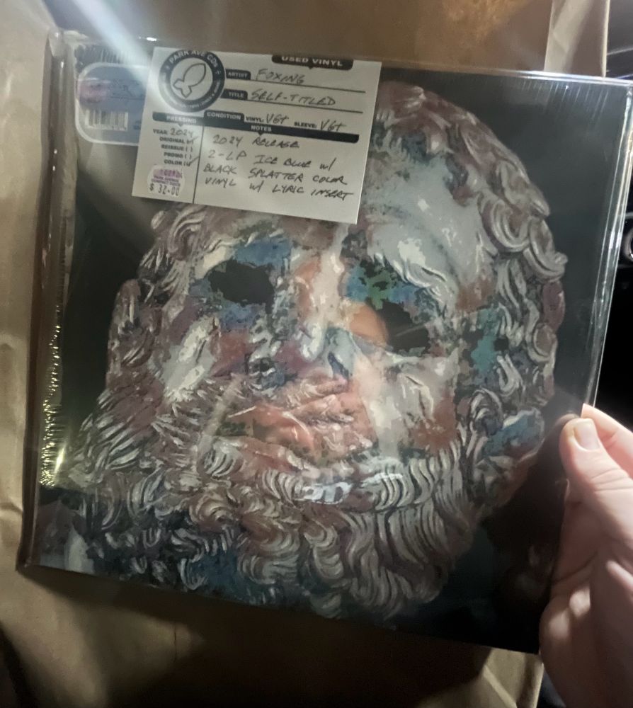 self-titled by foxing vinyl album cover 