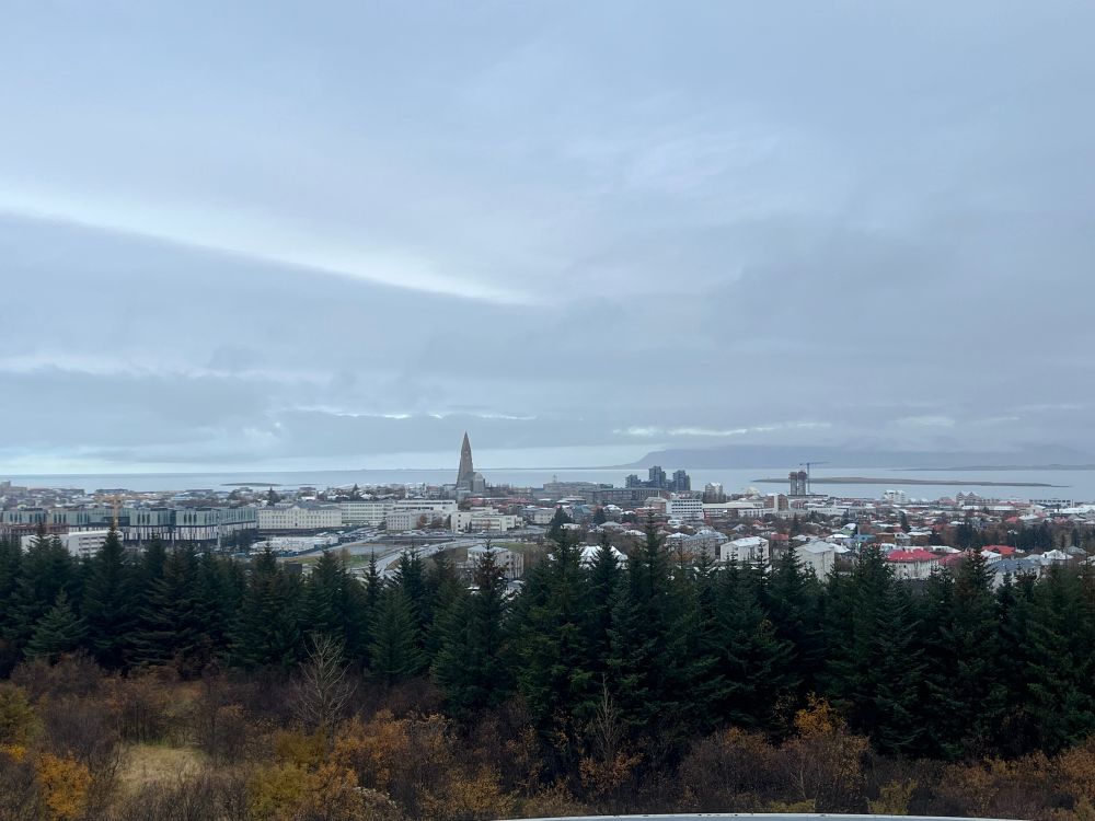 a picture of reykjavík from a high vantage point