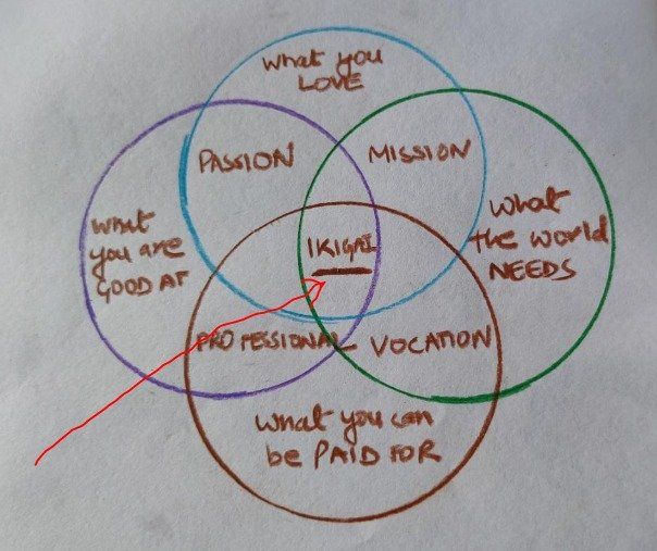 Ikigai - what you love to do