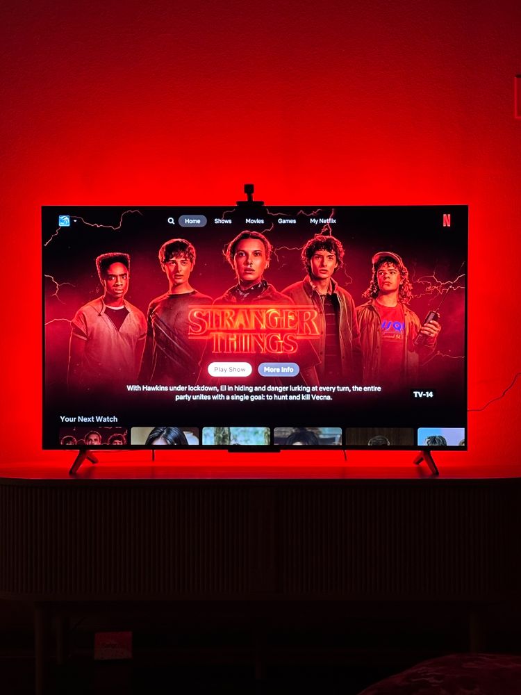 Stranger Things 5 — Cover Page on Netflix