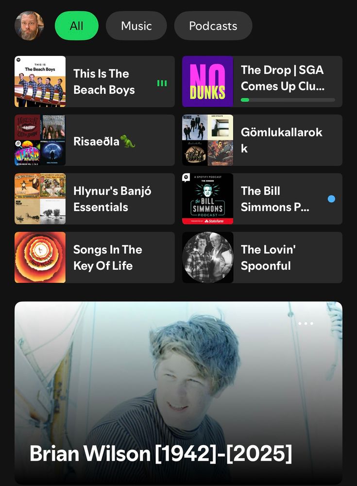 Skjáskot af Spotify þar sem er búið að bæta við Brian Wilson borða. 