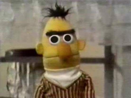 Bert with huge irises in his eyes staring at the camera.