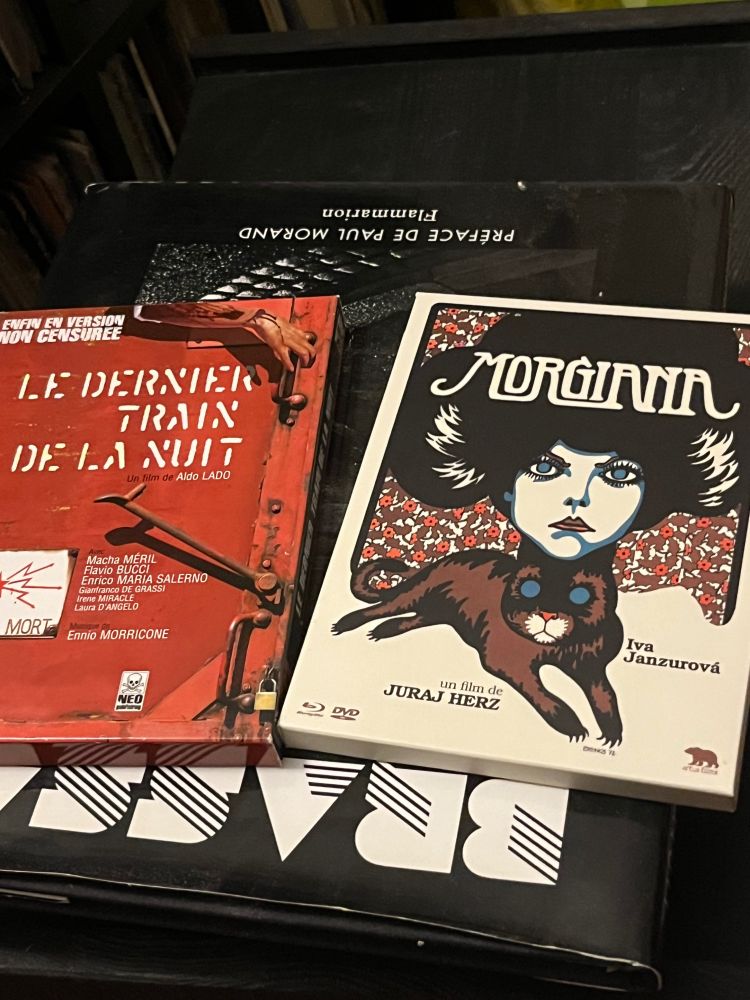 Le dernier train de la nuit, Aldo Lado 
Morgiana, Juraj Herz