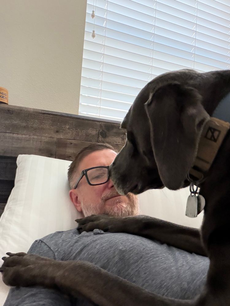 90lb Weimaraimer sitting on my chest while I’m lying in bed, getting all up in my face. 