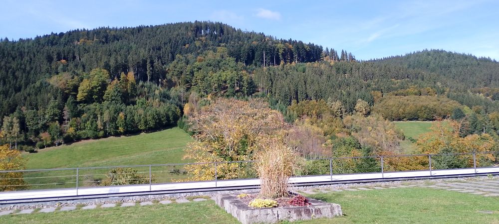 Panorama of a valley covered in grass with some deciduous trees, the hills opposite are covered by both deciduous and needle leaved trees.

The sky has a summer like blue but the leaves have just started to turn yellow and brown.
