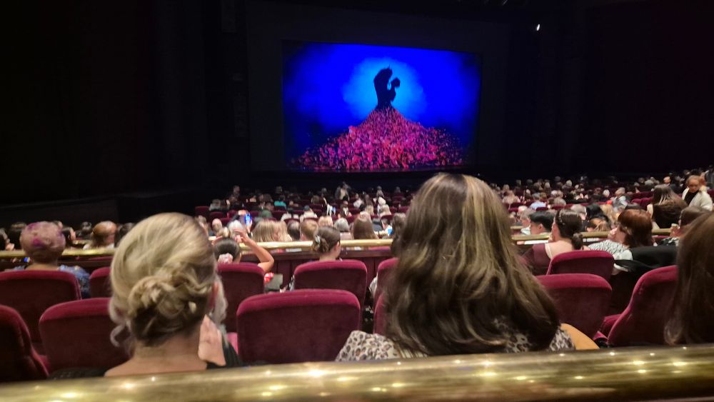 People seated in crown theatre in red chairs, all looking forward to the stage, which is in intermission and showing a silhouetted image of beauty and the beast, with her skirt composed of red rose petals flowing out from their embrace. 