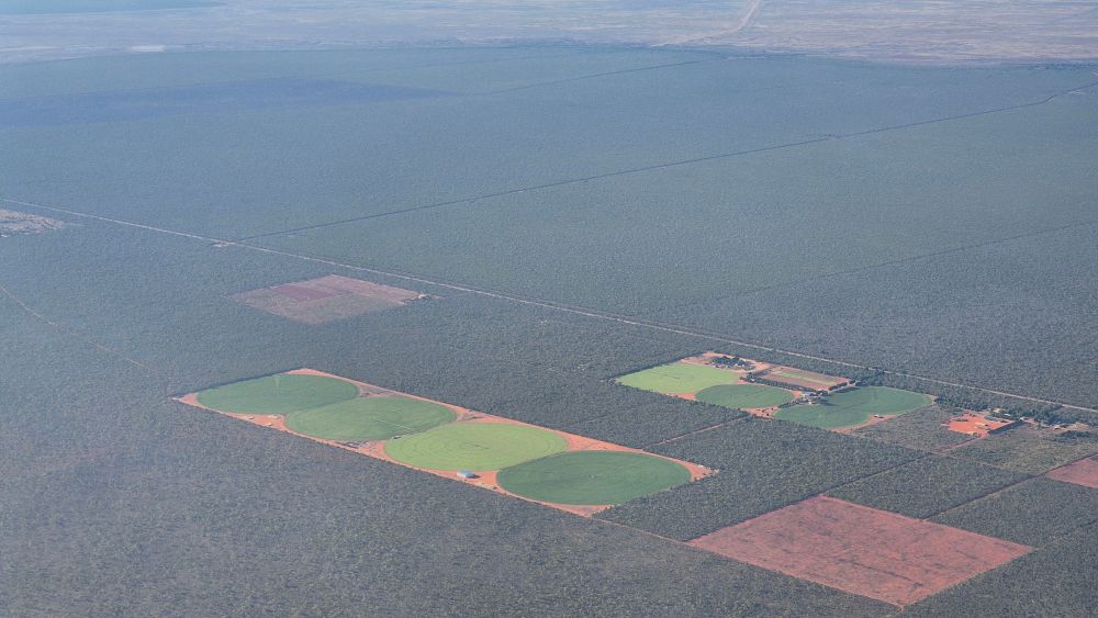 4 large circular plots, crops growing near Broome in the middle of bush. Nearer some buildings are 4 smaller circular plots s