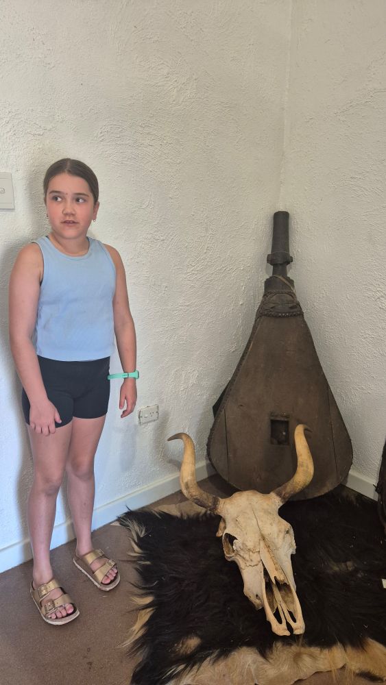 Bull skull and bellows for an ironmonger, sitting on animal hide. 10 year old for scale! She is standing beside the items, with skull horns higher than her knees and bellows are almost as tall as her. 