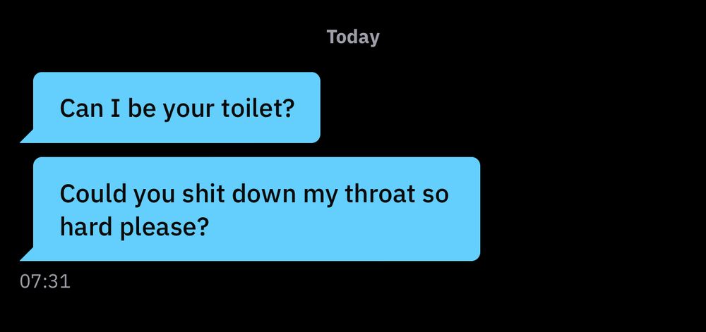 Conversation with unhinged person:

Them: “can I be your toilet? Could you shut down my throat so hard please?”