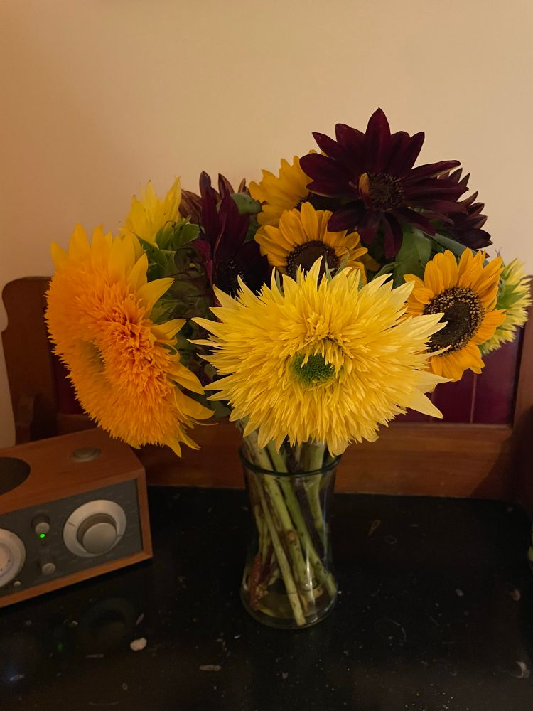 Multicolored sunflowers in a glass vase on a marble-topped washstand, next to an old Tivoli radio. 