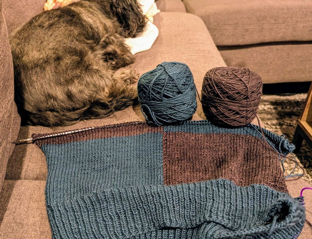 An intarsia knit sweater in teal and brown squares, with two balls of yarn and a sleeping dog 